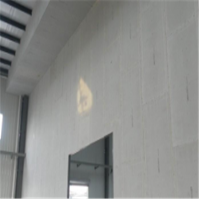 宝应宁波ALC板|EPS加气板隔墙与混凝土整浇联接的实验研讨